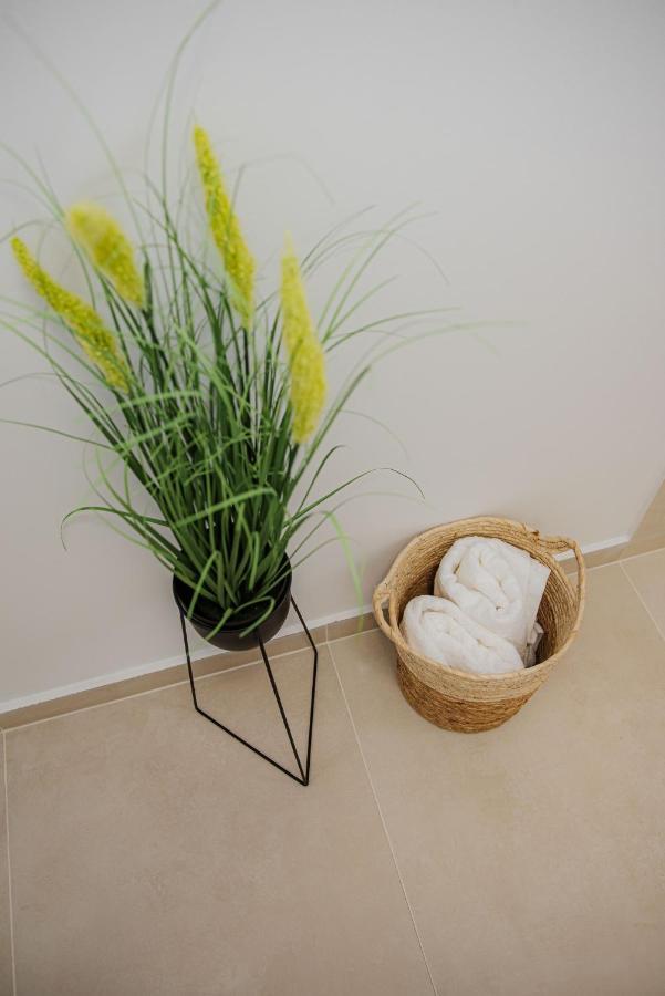 Modern Apartment In Timisoara Ngoại thất bức ảnh