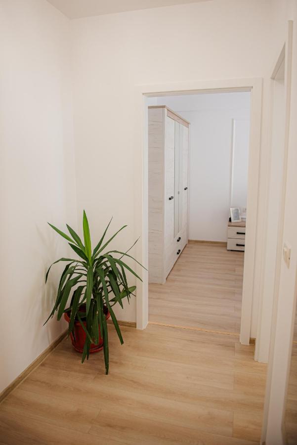 Modern Apartment In Timisoara Ngoại thất bức ảnh